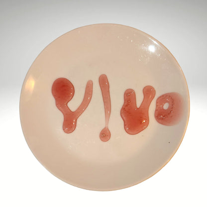 VIVO Lambrusco Glaze – The Ultimate Drizzle